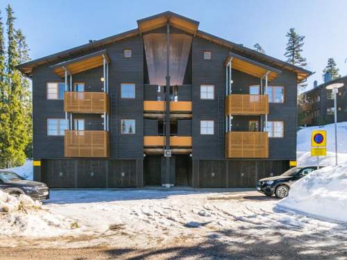 Ferienhaus Karhunvartijan linna c18