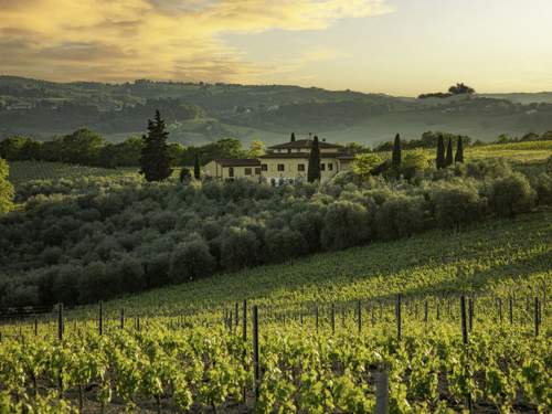 Ferienhaus, Landhaus Podere San Michele  in 
San Gimignano (Italien)