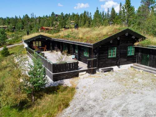 Ferienhaus Josteinbu  in 
Treungen (Norwegen)