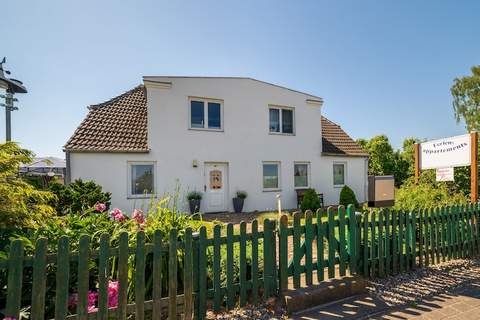 Windspiel Nr2 - Ferienunterkunft in Pepelow Mecklenburg (3 Personen)