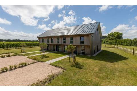 Vroondijk 2-Zeebloesem - Ferienhaus in Vrouwenpolder (12 Personen)