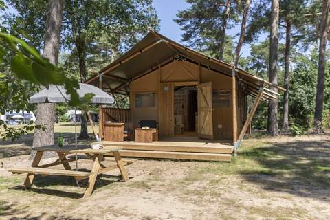 Bospark 't Wolfsven 12 - Ferienunterkunft in Mierlo (6 Personen)