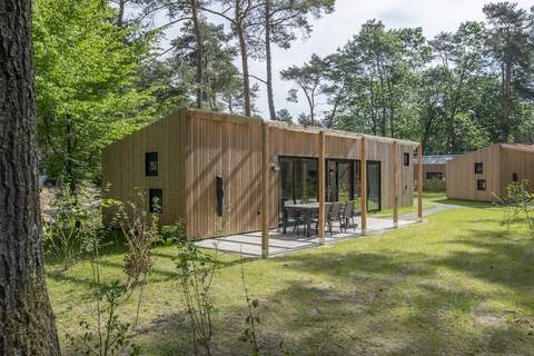 Bospark 't Wolfsven 16 - Ferienunterkunft in Mierlo (6 Personen)