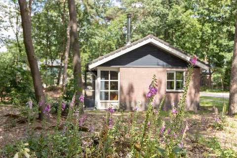 Park De Peel 4 - Ferienunterkunft in Vlierden (4 Personen)