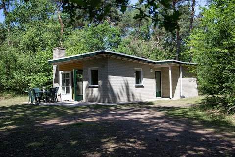 RCN Vakantiepark de Noordster 3 - Ferienunterkunft in Dwingeloo (6 Personen)
