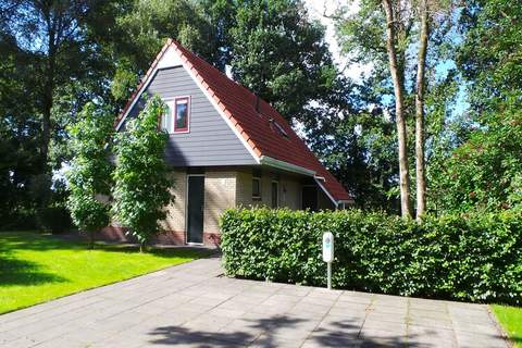 Buitenplaats Berg en Bos nummer 15 - Ferienunterkunft in Lemele (10 Personen)