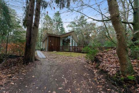 Boshuis De Klim - Ferienhaus in Norg (6 Personen)