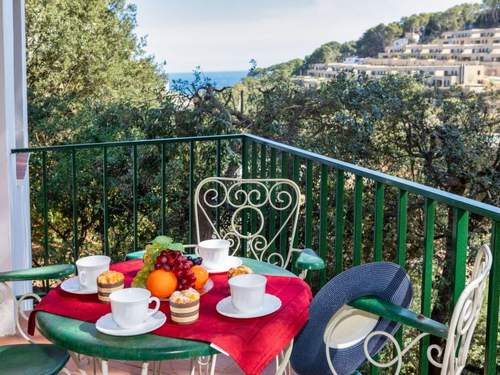 Ferienwohnung S'Olivera N4  in 
Sa Riera (Spanien)