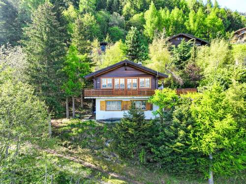 Ferienhaus, Chalet Dejo A Dzeu  in 
Nendaz (Schweiz)