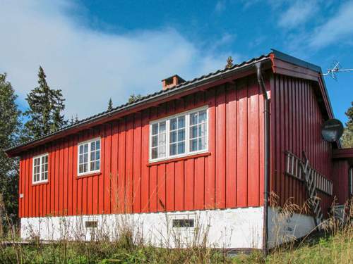 Ferienhaus Skeisvegen