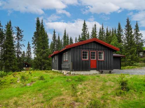 Ferienhaus Liaråket