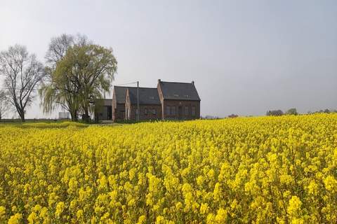 De Korte Lindehoeve - Landhaus in Roesbrugge (22 Personen)