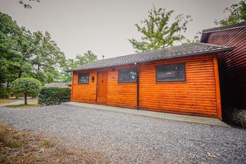 Chalet le beau Renard - Ferienunterkunft in Somme Leuze (5 Personen)