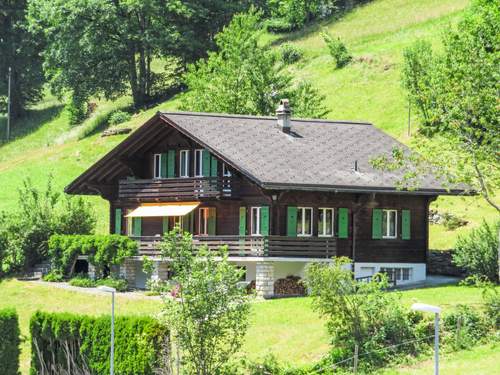 Ferienhaus, Chalet Chalet Pitschun