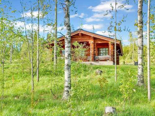 Ferienhaus Honkakoti