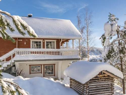 Ferienhaus Aurinkoalppi 10a paritalo includes 2 ski