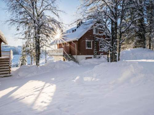 Ferienhaus Alppikylä 1b paritalo