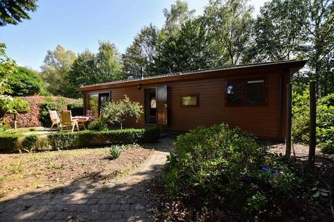 Dassenburcht - Chalet in Garderen (4 Personen)