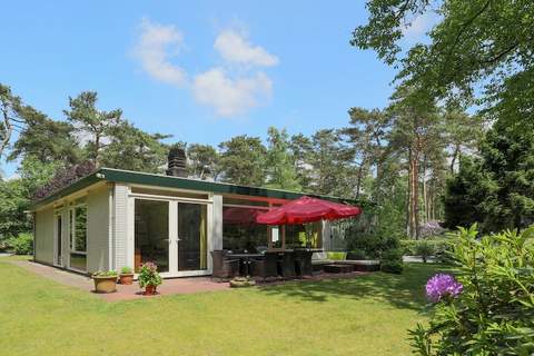 Ruischende Dennen - Ferienhaus in Huybergen (6 Personen)