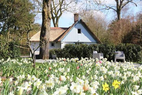 Romantisch Bergen - Ferienunterkunft in Bergen (Noord-Holland) (2 Personen)