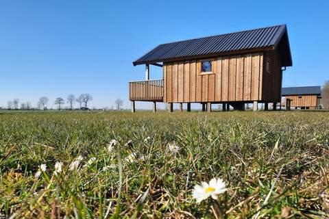 Acker Lodges 1 - Ferienunterkunft in Ruinerwold (4 Personen)