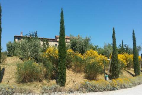 Appartamento Monaci - Ferienunterkunft in Asciano (SI) (5 Personen)