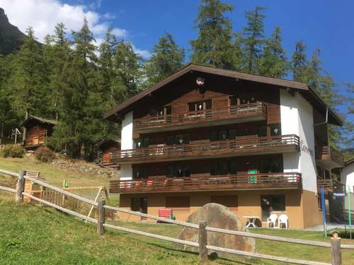 Ferienwohnung Apartments Carmena  in 
Saas-Grund (Schweiz)
