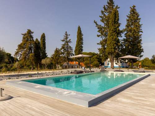 Ferienhaus, Landhaus Quinta de Santa Emilia (V1)  in 
Alcacer do Sal (Portugal)