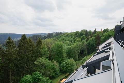 Am Waltenberg 70-MS - Appartement in Winterberg (4 Personen)