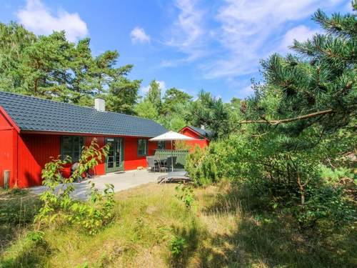 Ferienhaus Jale - all inclusive - 50m from the sea in Bornholm
