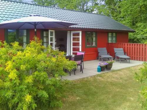 Ferienhaus Alde - 300m from the sea