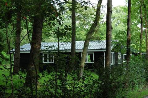 Residence De Eese 1 - Ferienhaus in De Bult-Steenwijk (24 Personen)