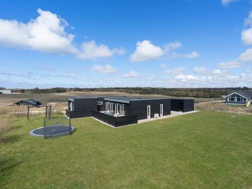 Ferienhaus Ilfar - 700m from the sea in NW Jutland