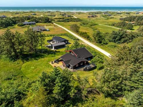 Ferienhaus Gullborg - 800m from the sea in NW Jutland