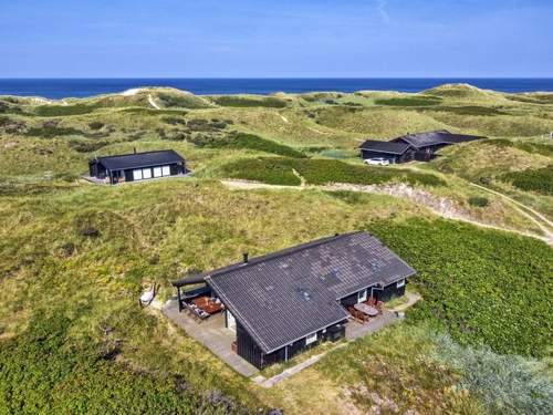 Ferienhaus Ã…munde - 150m from the sea in NW Jutland