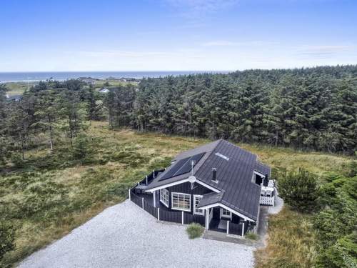 Ferienhaus Jens - 425m from the sea in NW Jutland