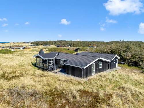 Ferienhaus Ingela - 350m from the sea in NW Jutland