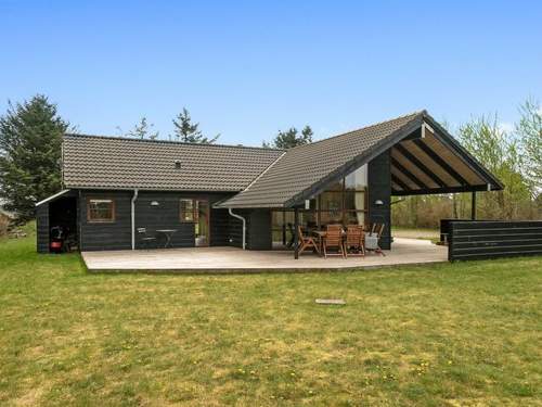 Ferienhaus Harri - 850m from the sea in NW Jutland