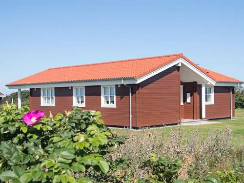Ferienhaus Armgard - 300m from the sea in NW Jutland