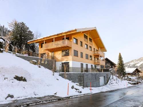 Ferienwohnung Rinderberg Sockelgeschoss Nordost  in 
Zweisimmen (Schweiz)