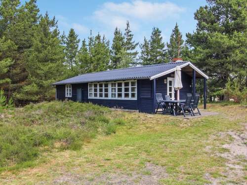 Ferienhaus Tirsa - 3.9km from the sea in Western Jutland