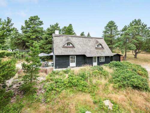 Ferienhaus Risto - all inclusive - 2.3km from the sea in Western Jutland