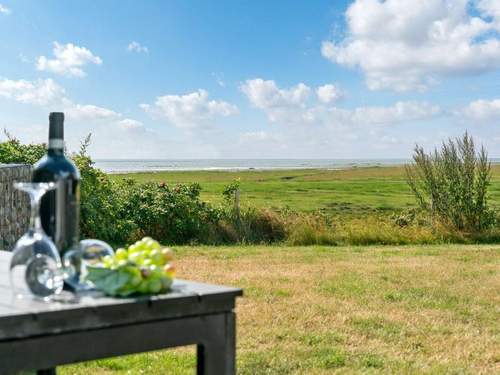 Ferienhaus Langsom - all inclusive - 100m from the sea in Western Jutland  in 
Rm (Dnemark)