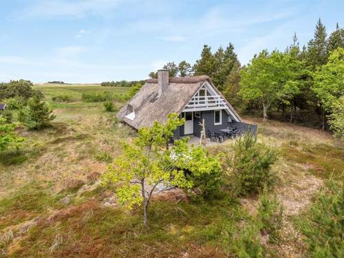 Ferienhaus Antero - 4km from the sea in Western Jutland