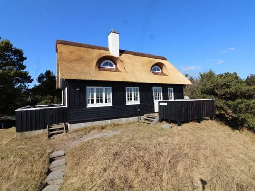 Ferienhaus Erikke - 300m from the sea in Western Jutland