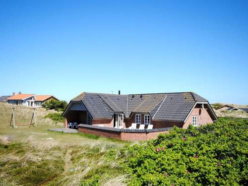 Ferienhaus Drea - all inclusive - 250m from the sea  in 
Ringkbing (Dnemark)