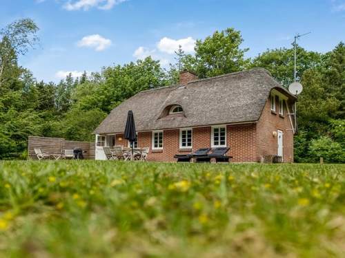 Ferienhaus Alkil - all inclusive - 1.7km from the sea  in 
Ulfborg (Dnemark)