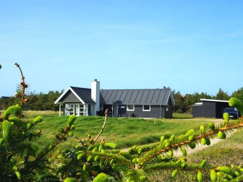 Ferienhaus Carelle - 300m from the sea in NW Jutland