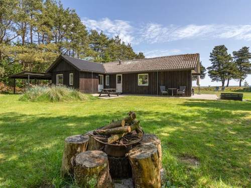 Ferienhaus Elny - all inclusive - 500m to the inlet  in 
Blvand (Dnemark)