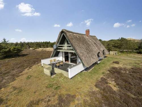 Ferienhaus Thorbjörn - all inclusive -  from the sea  in 
Hvide Sande (Dnemark)